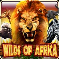 permainan slot Wilds Of Africa provider Live 22 dari situs slot gacor MEONGTOTO